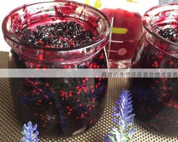 桑葚的季节还是喜欢做成果酱第2张-蔬菜基地绿色种植产业带 桑葚的季节还是喜欢做成果酱