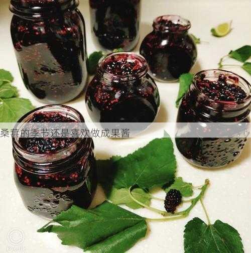 桑葚的季节还是喜欢做成果酱第1张-蔬菜基地绿色种植产业带 桑葚的季节还是喜欢做成果酱