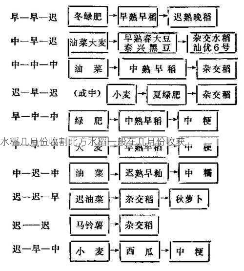 水稻几月份收割北方水稻一般在几月份收获第1张-蔬菜基地绿色种植产业带 水稻几月份收割北方水稻一般在几月份收获