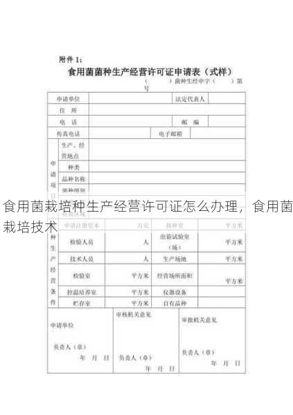 食用菌栽培种生产经营许可证怎么办理,食用菌栽培技术第1张-蔬菜基地绿色种植产业带 食用菌栽培种生产经营许可证怎么办理,食用菌栽培技术