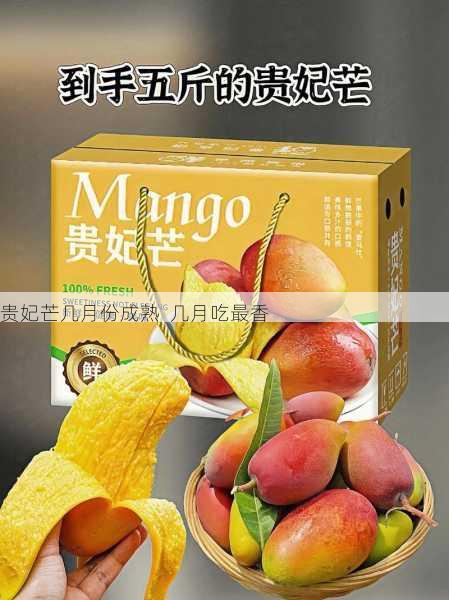 贵妃芒几月份成熟 几月吃最香第1张-蔬菜基地绿色种植产业带 贵妃芒几月份成熟 几月吃最香