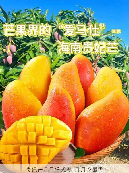 贵妃芒几月份成熟 几月吃最香第2张-蔬菜基地绿色种植产业带 贵妃芒几月份成熟 几月吃最香