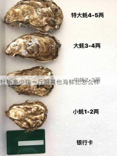牡蛎多少钱一斤跟其他海鲜比怎么样第2张-蔬菜基地绿色种植产业带 牡蛎多少钱一斤跟其他海鲜比怎么样