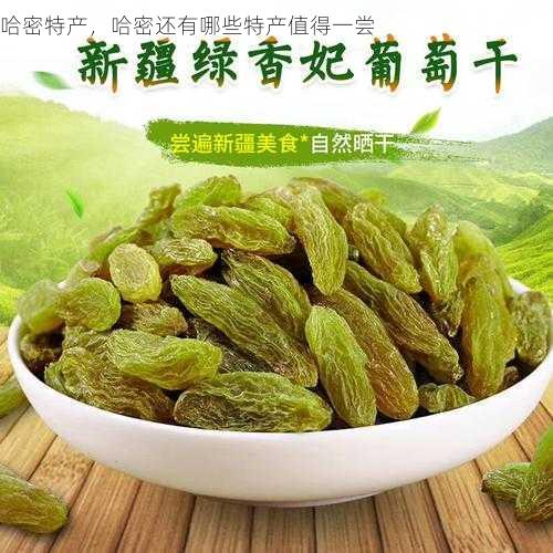 哈密特产，哈密还有哪些特产值得一尝第2张-蔬菜基地绿色种植产业带