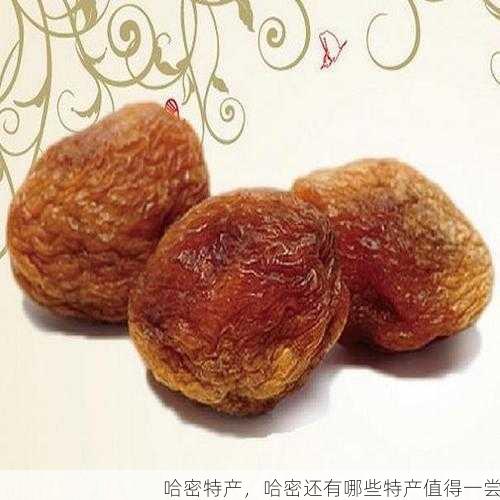 哈密特产，哈密还有哪些特产值得一尝第1张-蔬菜基地绿色种植产业带