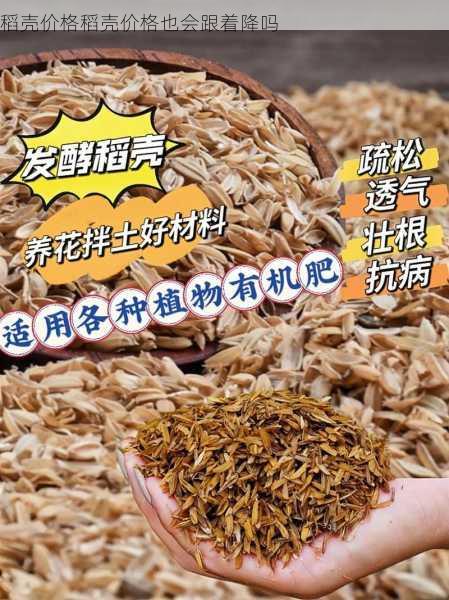 稻壳价格稻壳价格也会跟着降吗第1张-蔬菜基地绿色种植产业带 稻壳价格稻壳价格也会跟着降吗
