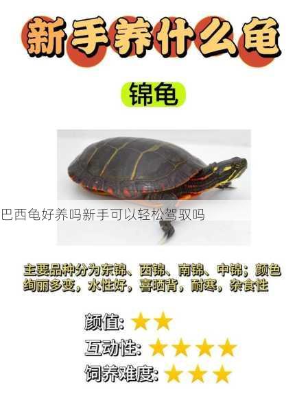 巴西龟好养吗新手可以轻松驾驭吗第1张-蔬菜基地绿色种植产业带 巴西龟好养吗新手可以轻松驾驭吗