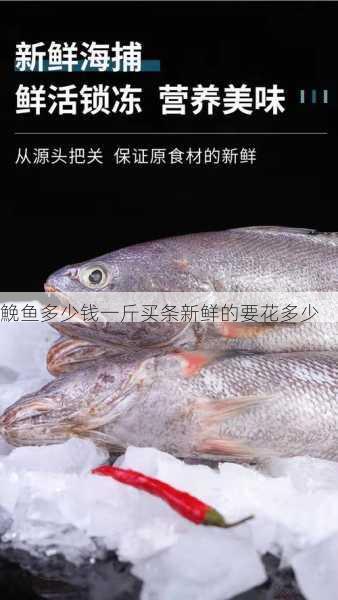 鮸鱼多少钱一斤买条新鲜的要花多少第2张-蔬菜基地绿色种植产业带 鮸鱼多少钱一斤买条新鲜的要花多少