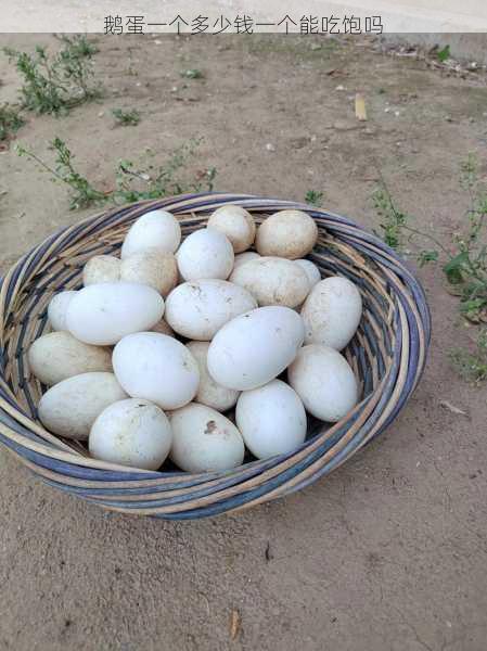 鹅蛋一个多少钱一个能吃饱吗第1张-蔬菜基地绿色种植产业带