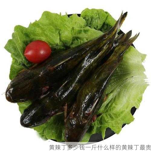 黄辣丁多少钱一斤什么样的黄辣丁最贵第2张-蔬菜基地绿色种植产业带 黄辣丁多少钱一斤什么样的黄辣丁最贵