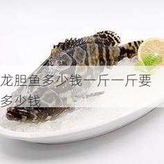 龙胆鱼多少钱一斤一斤要多少钱第2张-蔬菜基地绿色种植产业带