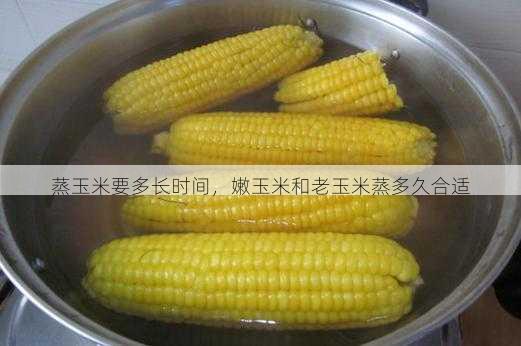 蒸玉米要多长时间,嫩玉米和老玉米蒸多久合适第2张-蔬菜基地绿色种植产业带 蒸玉米要多长时间,嫩玉米和老玉米蒸多久合适