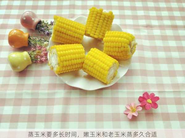 蒸玉米要多长时间,嫩玉米和老玉米蒸多久合适第1张-蔬菜基地绿色种植产业带 蒸玉米要多长时间,嫩玉米和老玉米蒸多久合适
