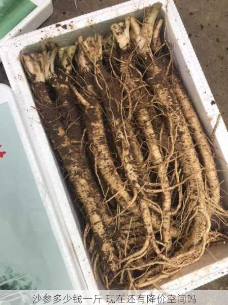 沙参多少钱一斤 现在还有降价空间吗第2张-蔬菜基地绿色种植产业带 沙参多少钱一斤 现在还有降价空间吗