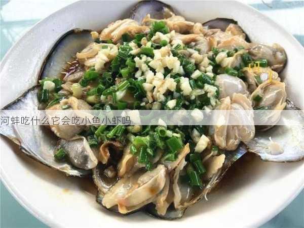 河蚌吃什么它会吃小鱼小虾吗第1张-蔬菜基地绿色种植产业带 河蚌吃什么它会吃小鱼小虾吗