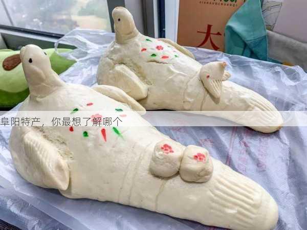 阜阳特产,你最想了解哪个第2张-蔬菜基地绿色种植产业带 阜阳特产,你最想了解哪个