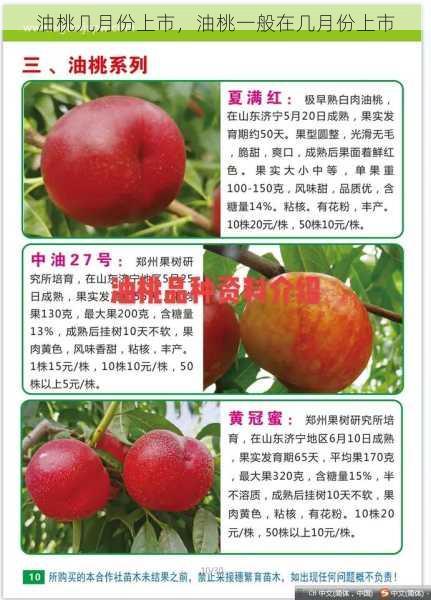 油桃几月份上市,油桃一般在几月份上市第1张-蔬菜基地绿色种植产业带 油桃几月份上市,油桃一般在几月份上市