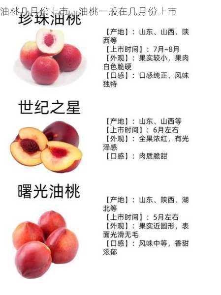油桃几月份上市,油桃一般在几月份上市第2张-蔬菜基地绿色种植产业带 油桃几月份上市,油桃一般在几月份上市