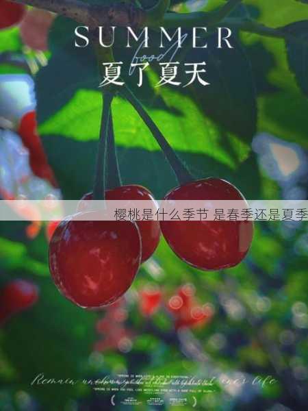 樱桃是什么季节 是春季还是夏季第2张-蔬菜基地绿色种植产业带 樱桃是什么季节 是春季还是夏季