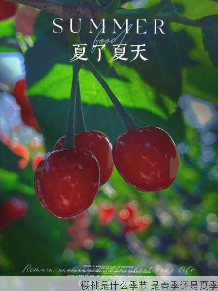 樱桃是什么季节 是春季还是夏季第1张-蔬菜基地绿色种植产业带 樱桃是什么季节 是春季还是夏季