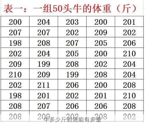 牛多少斤到底能有多重第2张-蔬菜基地绿色种植产业带 牛多少斤到底能有多重