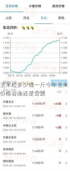 玉米粒多少钱一斤今年玉米价格会涨还是会跌第2张-蔬菜基地绿色种植产业带 玉米粒多少钱一斤今年玉米价格会涨还是会跌