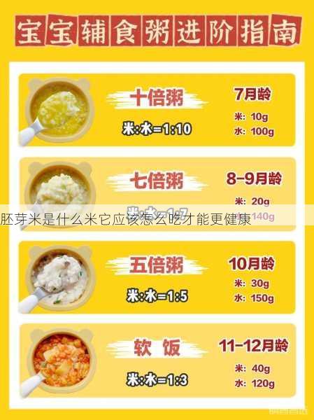 胚芽米是什么米它应该怎么吃才能更健康第2张-蔬菜基地绿色种植产业带 胚芽米是什么米它应该怎么吃才能更健康
