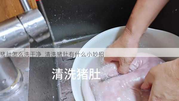 猪肚怎么洗干净 清洗猪肚有什么小妙招第2张-蔬菜基地绿色种植产业带 猪肚怎么洗干净 清洗猪肚有什么小妙招