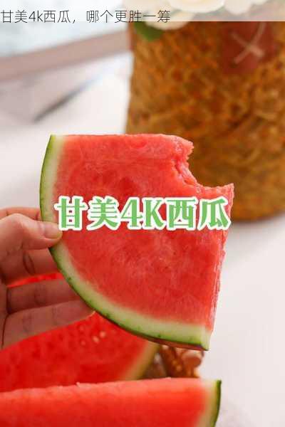 甘美4k西瓜,哪个更胜一筹第1张-蔬菜基地绿色种植产业带 甘美4k西瓜,哪个更胜一筹