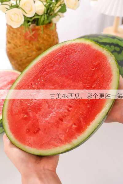 甘美4k西瓜,哪个更胜一筹第2张-蔬菜基地绿色种植产业带 甘美4k西瓜,哪个更胜一筹
