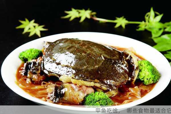 甲鱼吃啥，  哪些食物最适合它第1张-蔬菜基地绿色种植产业带