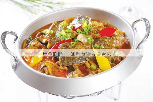 甲鱼吃啥，  哪些食物最适合它第2张-蔬菜基地绿色种植产业带