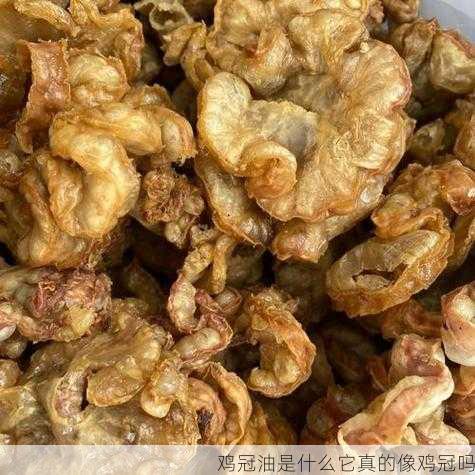 鸡冠油是什么它真的像鸡冠吗第2张-蔬菜基地绿色种植产业带 鸡冠油是什么它真的像鸡冠吗