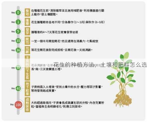 花生的种植方法，土壤和肥料怎么选第2张-蔬菜基地绿色种植产业带