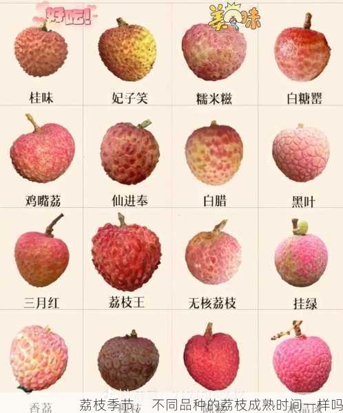 荔枝季节, 不同品种的荔枝成熟时间一样吗第2张-蔬菜基地绿色种植产业带 荔枝季节, 不同品种的荔枝成熟时间一样吗
