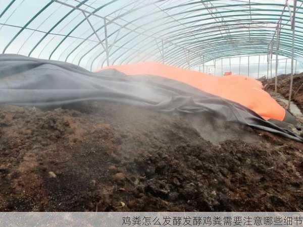 鸡粪怎么发酵发酵鸡粪需要注意哪些细节第2张-蔬菜基地绿色种植产业带 鸡粪怎么发酵发酵鸡粪需要注意哪些细节