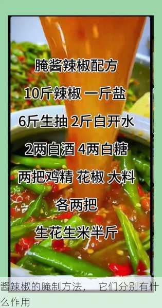 酱辣椒的腌制方法, 它们分别有什么作用第2张-蔬菜基地绿色种植产业带 酱辣椒的腌制方法, 它们分别有什么作用