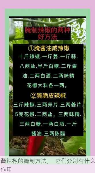 酱辣椒的腌制方法, 它们分别有什么作用第1张-蔬菜基地绿色种植产业带 酱辣椒的腌制方法, 它们分别有什么作用
