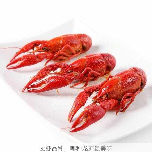龙虾品种,哪种龙虾最美味第2张-蔬菜基地绿色种植产业带 龙虾品种,哪种龙虾最美味