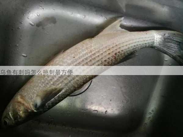 乌鱼有刺吗怎么挑刺最方便第2张-蔬菜基地绿色种植产业带 乌鱼有刺吗怎么挑刺最方便