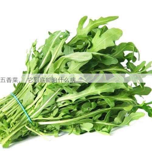 五香菜，  它到底能治什么病第2张-蔬菜基地绿色种植产业带