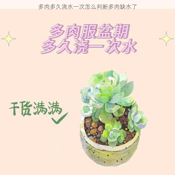多肉多久浇水一次怎么判断多肉缺水了第2张-蔬菜基地绿色种植产业带 多肉多久浇水一次怎么判断多肉缺水了