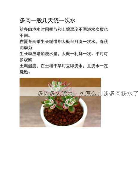 多肉多久浇水一次怎么判断多肉缺水了第1张-蔬菜基地绿色种植产业带 多肉多久浇水一次怎么判断多肉缺水了
