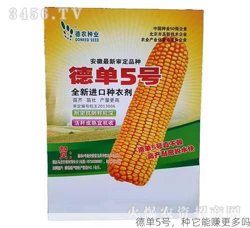 德单5号，种它能赚更多吗第1张-蔬菜基地绿色种植产业带