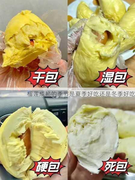 榴莲成熟的季节是夏季好吃还是冬季好吃第1张-蔬菜基地绿色种植产业带 榴莲成熟的季节是夏季好吃还是冬季好吃