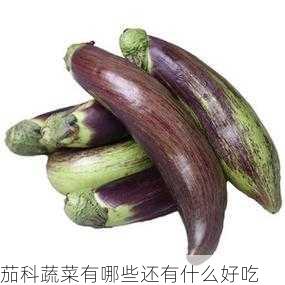 茄科蔬菜有哪些还有什么好吃第1张-蔬菜基地绿色种植产业带 茄科蔬菜有哪些还有什么好吃