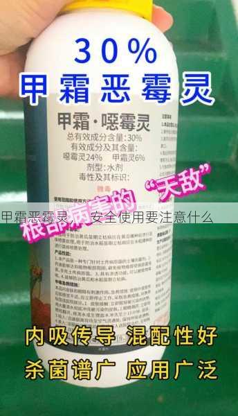 甲霜恶霉灵, 安全使用要注意什么第1张-蔬菜基地绿色种植产业带 甲霜恶霉灵, 安全使用要注意什么