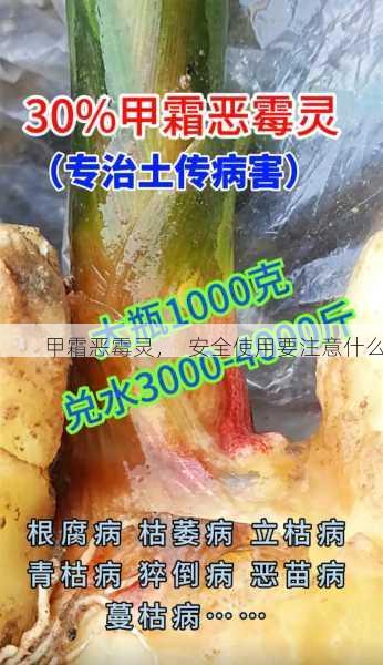 甲霜恶霉灵, 安全使用要注意什么第2张-蔬菜基地绿色种植产业带 甲霜恶霉灵, 安全使用要注意什么