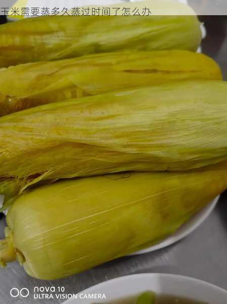 玉米需要蒸多久蒸过时间了怎么办第2张-蔬菜基地绿色种植产业带 玉米需要蒸多久蒸过时间了怎么办