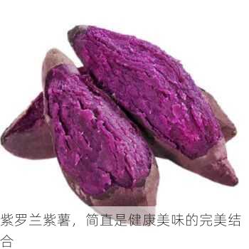 紫罗兰紫薯,简直是健康美味的完美结合第2张-蔬菜基地绿色种植产业带 紫罗兰紫薯,简直是健康美味的完美结合